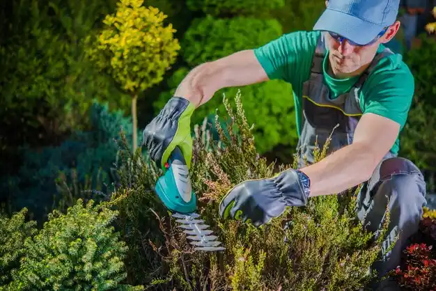 landscaping services Mortons Gap